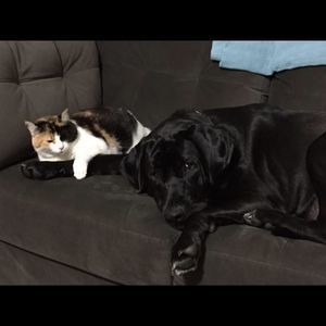 Meet your Posher, Karen